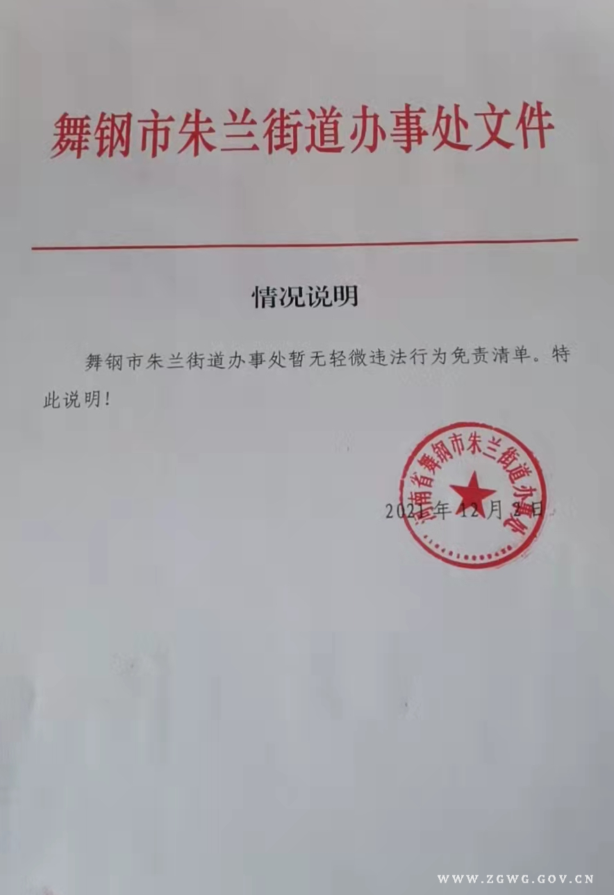 輕微違法行為.png