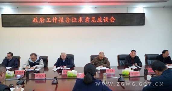 何卉主持召開政府工作報(bào)告征求意見座談會(huì) (2)_副本.jpg